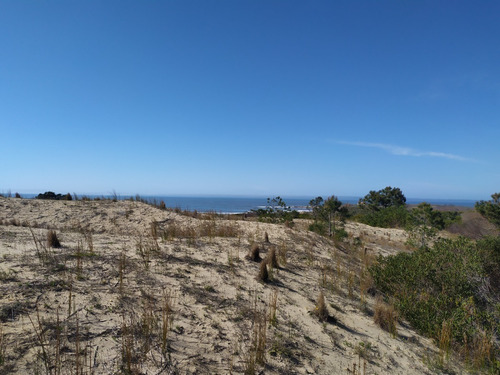 Imagen 10 de 19 de Solar - En Venta En La Viuda Punta Del Diablo A 150m De La Playa - Mza 253