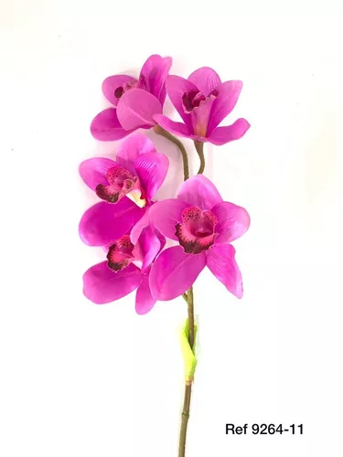 Orquídea Cymbidium Roxa - 5 Pétalas