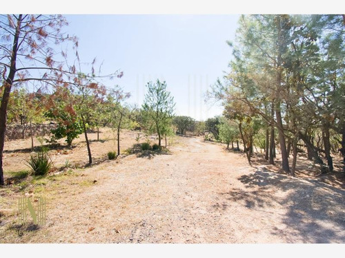 Imagen 3 de 7 de Terreno En Venta Canoas