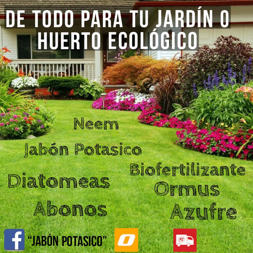Imagen 1 de 3 de Jabón Potasico