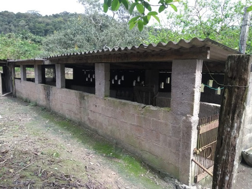 Imagem 16 de 30 de Sitio No Juquiá - St00024