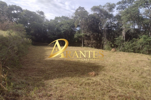 Imagem 5 de 14 de Terreno - Te00068 - 70716178