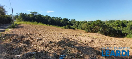 Imagem 6 de 7 de Terreno - Jardim Currupira - Sp - 630344