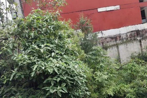 Terreno En Venta Ampliacion Granada ¡uso De Suelo H3/6! 7 Niveles