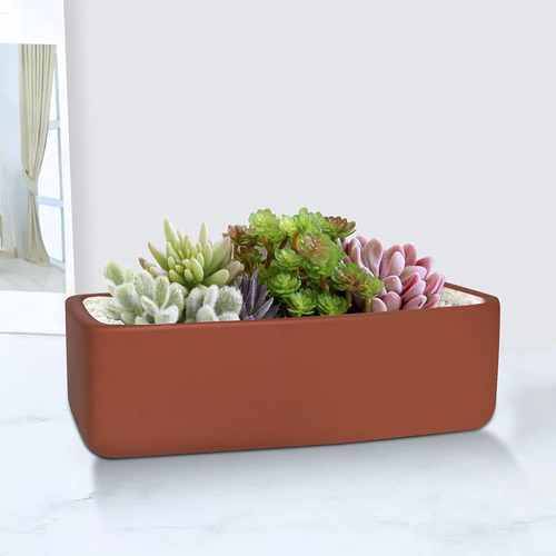 Maceta Rectangular De Terracota Poco Profunda De 10 Pulgadas