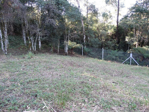 Imagem 5 de 15 de Terreno À Venda, 463 M² Por R$ 446.800,00 - Vivendas Do Arvoredo - Gramado/rs - Te0093