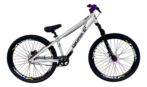 Gios Frx Evo Prata Com Roxo Para Grau