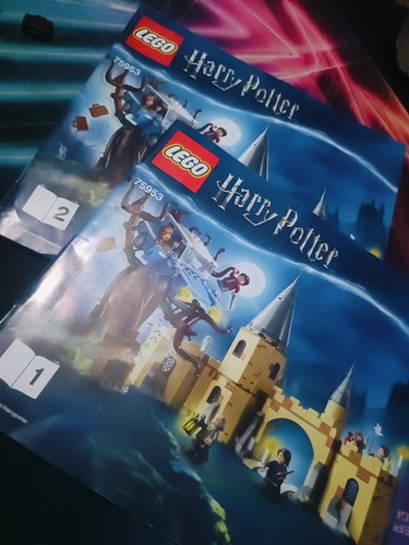 Lego Harry Potter Sauce Boxeador De Hogwarts 753 Mario Bros (Usado)
