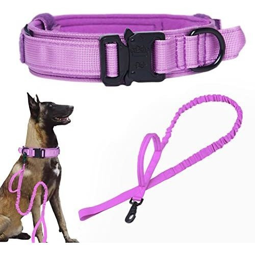 Collar De Perros Táctico Y Correa Conjunto De Perros Lw155