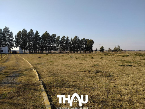 Campo En Puerto Gral San Martin