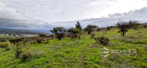 En Venta Parcela De 5.000 M2. En El Manzanar Quillota Rautén