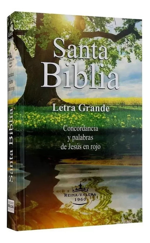 Biblia Reina Valera 1960 Económica Letra Grande