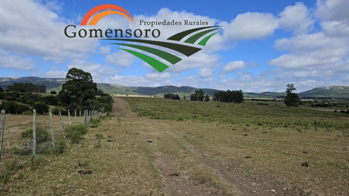 Maldonado  Campo Turístico Agrícola Ganadero 315 Has Con Casa Y Galpón 