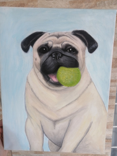 Pintura Por Encargo Mascotas Personalizada Lienzo 40x50cm