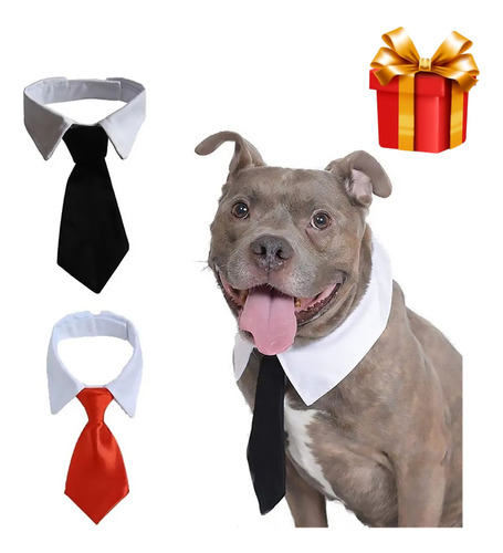 Corbata Formal Para Perro O Gato Ajustable Collar 