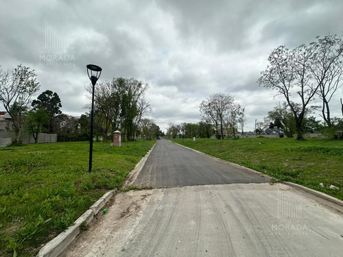 Venta Lote Financiación Avenida Olivos Y Panamericana Excelente Ubicación !!!