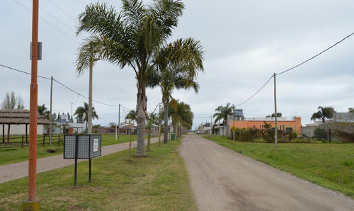 Imagen 2 de 10 de Terreno - Pujato Norte