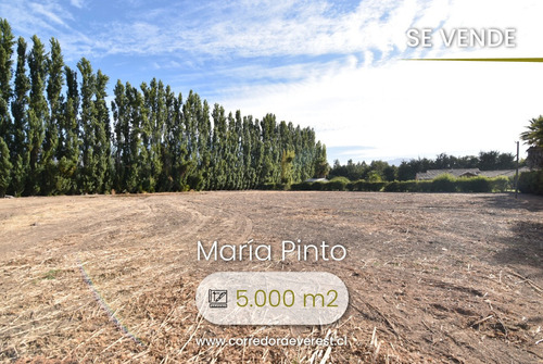 Se Vende Parcela 5.000 M2 Con Rol Propio. Cond. San Andrés.