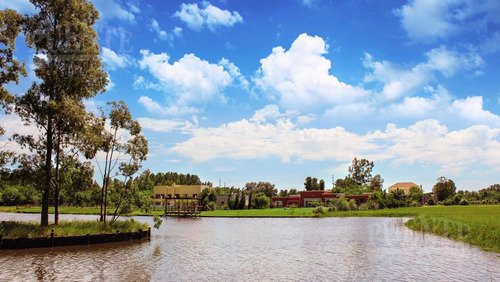 Imagen 8 de 12 de Terreno - Fincas De San Vicente Laguna - Lote Con Fondo Al Lago -