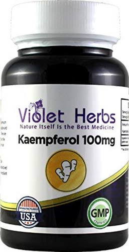 Kaempferol 100mg Suplemento Antioxidante Natural 60 Cápsulas