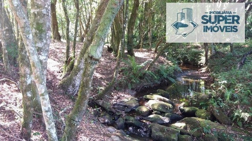 Imagem 15 de 23 de Chácara A Venda No Bairro Cascata Em Pelotas - Rs. - 1534-1