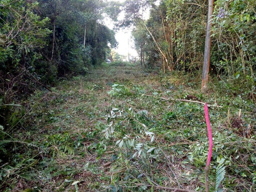 Imagem 3 de 4 de Terreno - Venda - Jardim Coronel - Itanhaém - Sue5