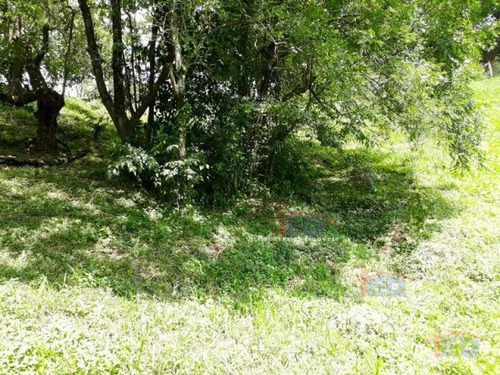 Imagem 14 de 15 de Ref.: 2961 - Terrenos Em Santana De Parnaíba Para Venda - V2961