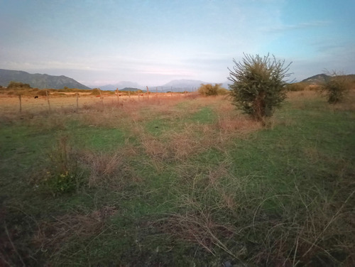 Propiedad Agrícola En Venta, Campo De 31,3 Ha, Rio Claro
