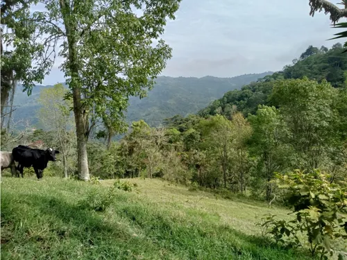 Vendo Finca Reventones Anolaima