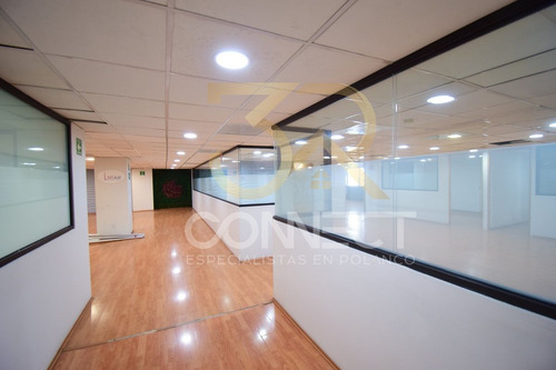 Oficina En Renta En Anzures - 24c/3b/1e - Excelente Ubicación - 870m2