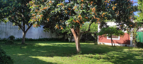 Imagen 10 de 15 de Venta Terreno Con Casa A Refaccionar Centro Paso Del Rey
