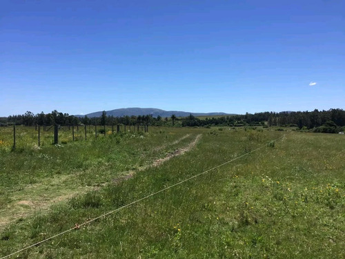Venta De Campo En Pan De Azúcar, 36 Ha Con Vista A Las Sierras De Las Animas, Costa Al Arroyo El Renegado, 3 Tajamares.