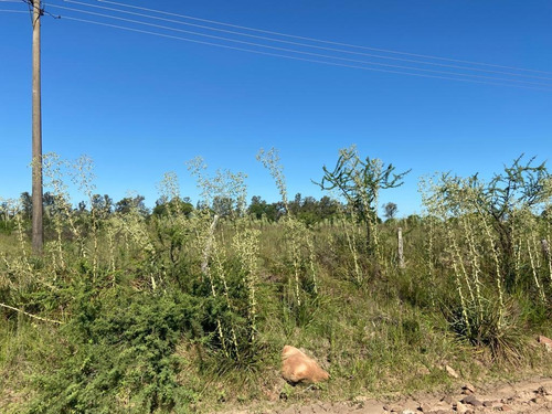 Imagen 5 de 7 de Entre Ríos - Concordia - Terreno De 3000 M2