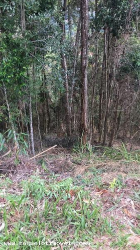 Imagem 3 de 3 de Terreno Para Venda Em Teresópolis, Parque Do Imbuí - Tr452_1-862324