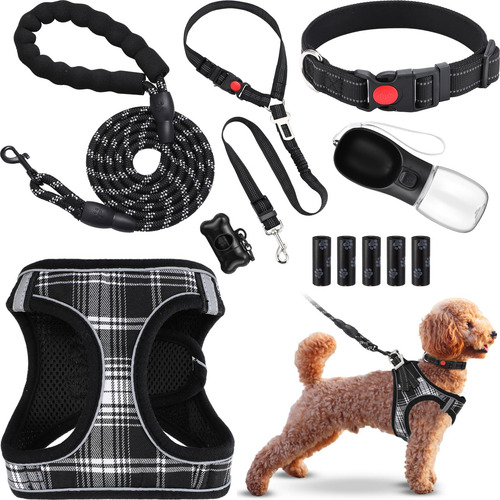Jgo 11 Pzas Arnés Y Collar Antitirones Para Perros Kit De In