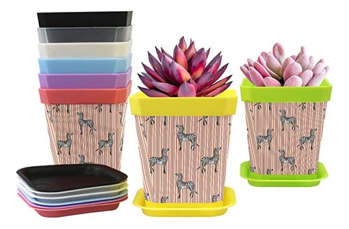 (8 Colors) Planters Zebra Nursery Pots 8-pack Gardening Con.