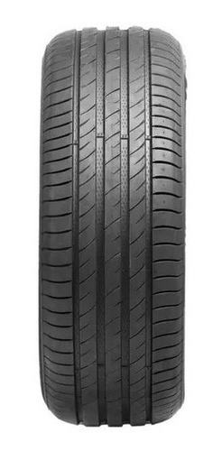Pneu Delinte Aro 17 205/50r17 93w Xl Ds2 (unidade)