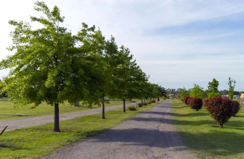 Vendo Lote Barrio Los Juncos