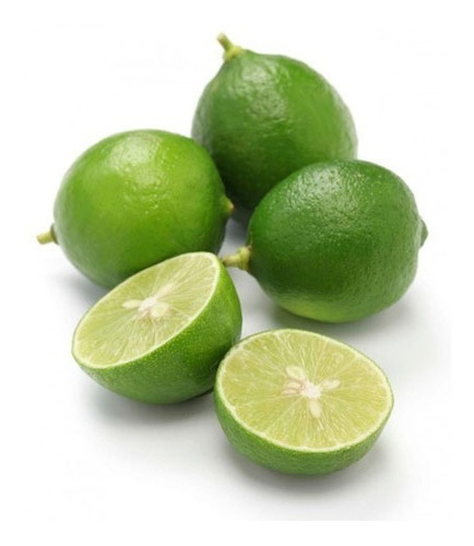 Limón Pica Limonero Frutal Injertado