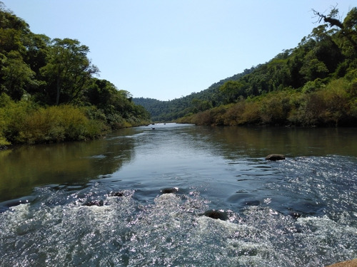 Imagen 6 de 7 de Lotes En Medio De La Selva Misionera