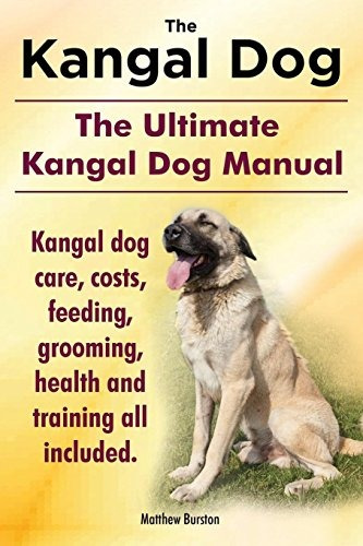 Kangal Dog El Mejor Manual De Kangal Dog Kangal Costos De Cu