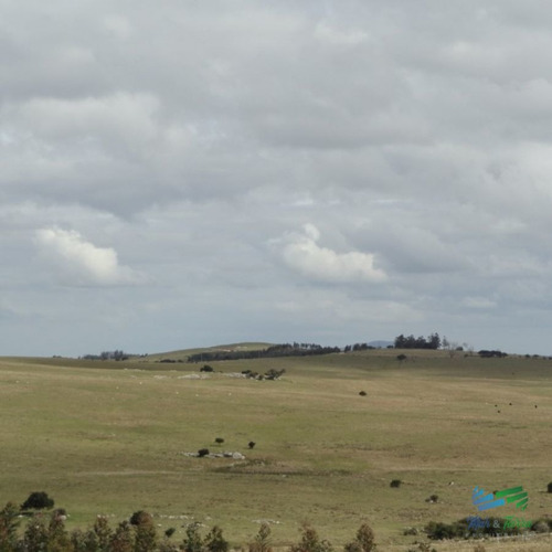Imagen 12 de 12 de 193 Has Sobre Ruta 12, Arroyo, Monte Nativo A 15 Kms De P. Edén - Zona Rural