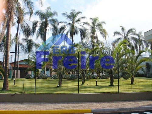 Imagem 3 de 12 de Terreno 320m² 12m² Frente E 12m² Fundo Rosário - Pirassununga/sp Ter01183