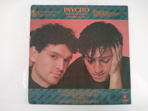Psycho Todo Lo Que Quiero Lp Promocional 1993 G&m Excelente (Usado)