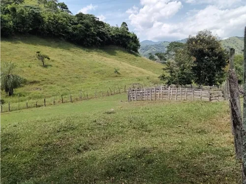 Venta Finca El Limonar Ebéjico