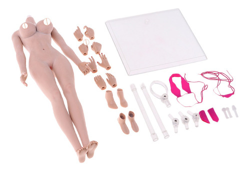 Imagen 2 de 6 de 2 Pcs 1/6 Escala Cuerpos De Mujer Modelo Juguete Para