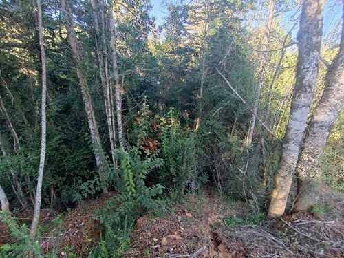 Vende Parcela Cond Piedra Blanca , Valdivia (108616)