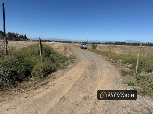Parcelas En Venta  Camino A Cato, Chillán