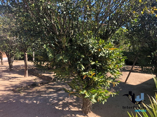 Imagem 7 de 7 de Rural Chacara Com 4 Quartos - 835304-v