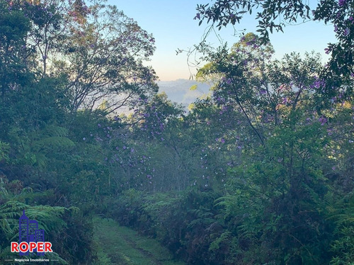 Imagem 12 de 23 de Chácara Com 35.000 M² Com 3 Casas/ Lago E Nascente À Venda Em Embu Guaçu/ São Lourenço Da Serra - Ch01031 - 34651874